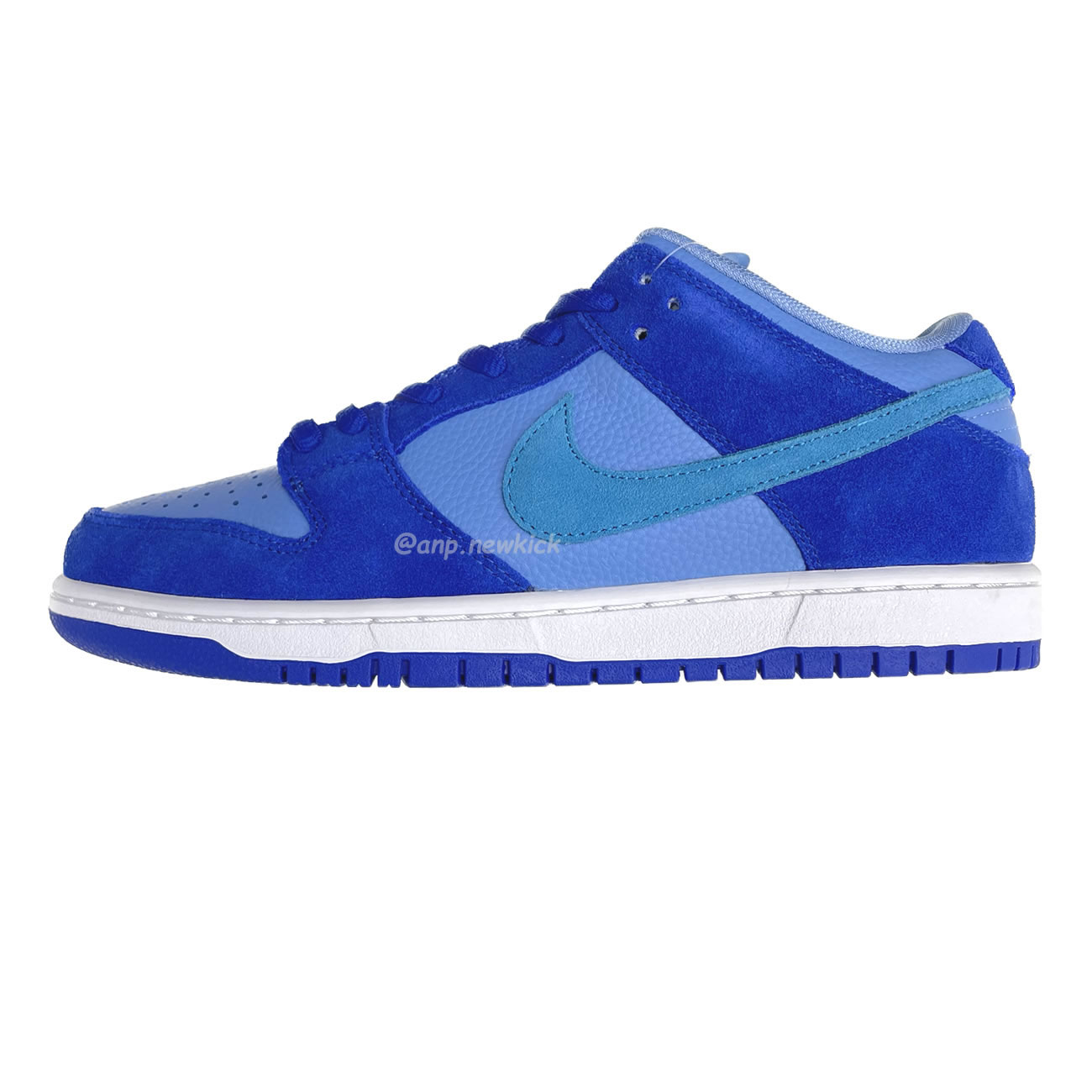 Nike Dunk Low Pro Racer Blue Dm0708 400 (1) - newkick.app