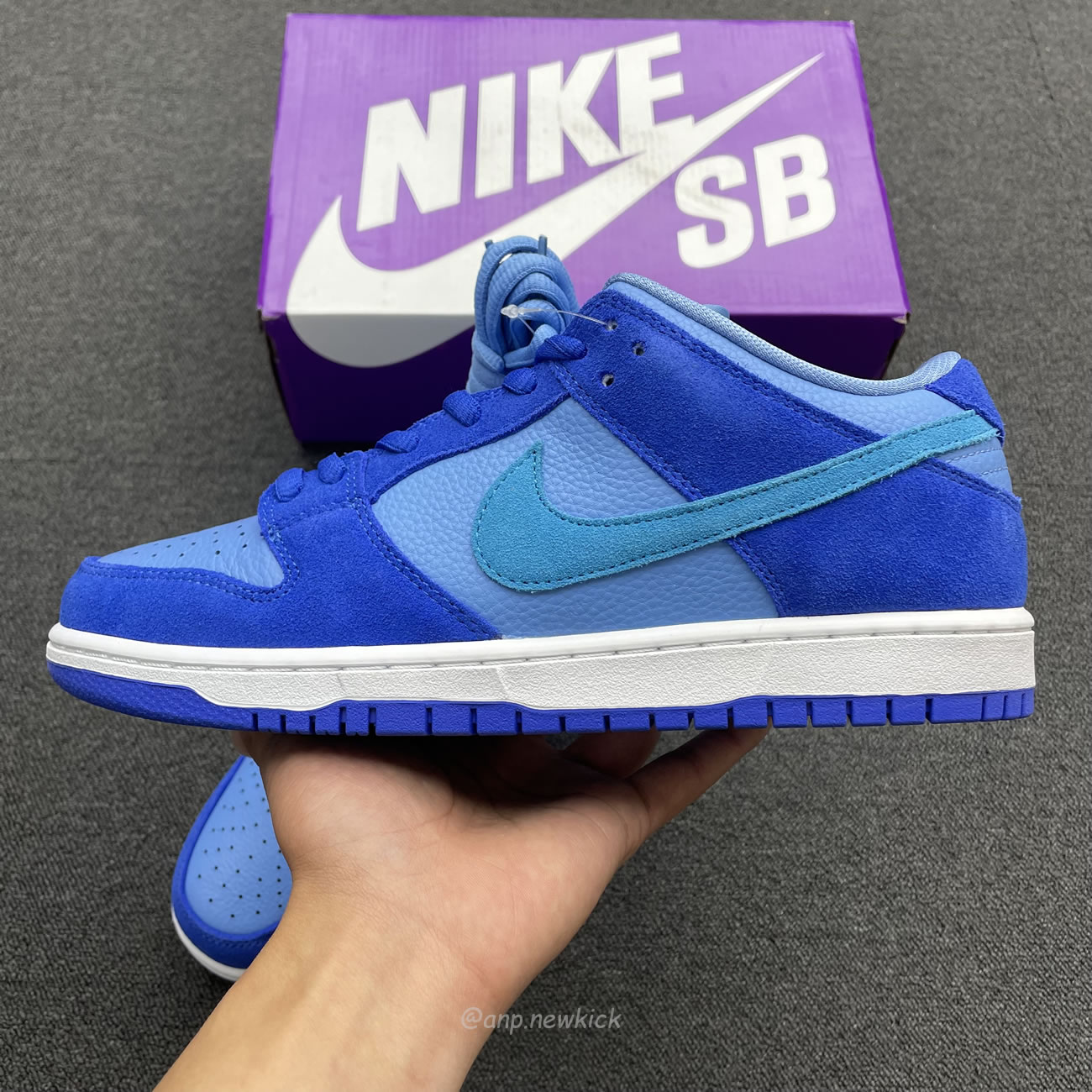 Nike Dunk Low Pro Racer Blue Dm0708 400 (2) - newkick.app