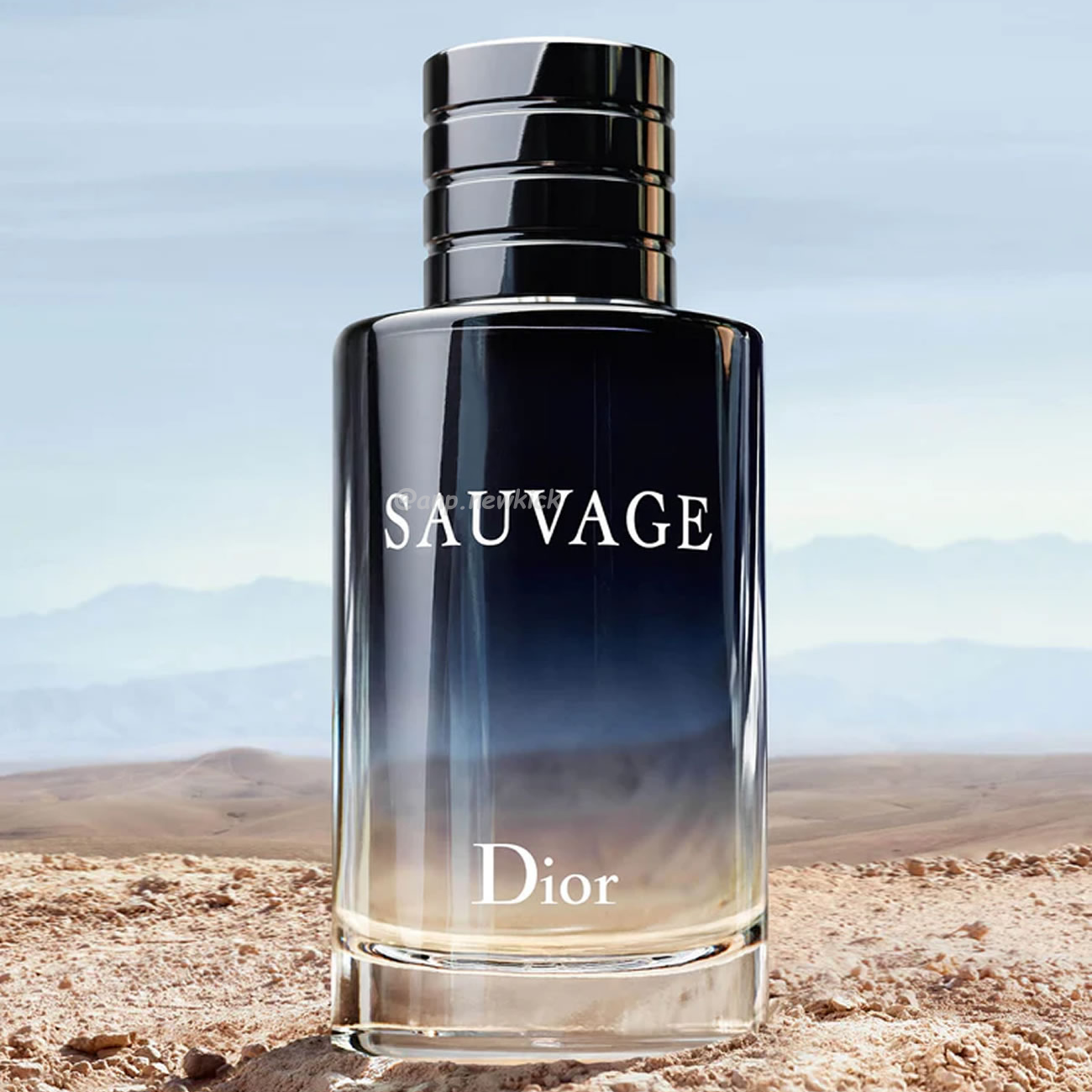 Dior Sauvage Edt 100ml (0) - newkick.app