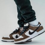 Nike SB Dunk Low Trail End Brown Black White 304292-102