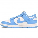 Nike Dunk Low "Coast" DD1503-100