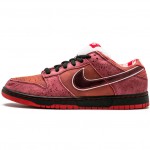 Nike SB Dunk Low Concepts "Blue Lobster/Green Lobster/Purple Lobster/Red Lobster"