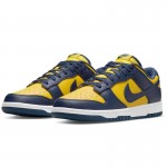 Nike Dunk Low Michigan 2021 DD1391-700