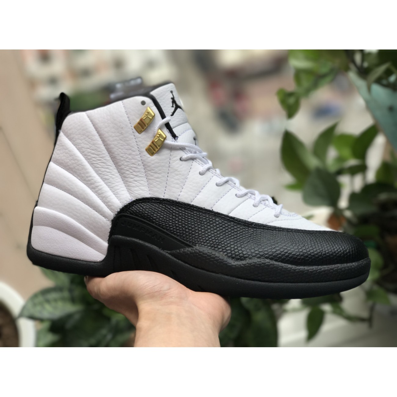 Air Jordan 12 "Taxi" 130690-125