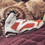 Air Jordan 6 "Gatorade" 384664-145