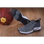 Lebron Witness 2 Flyknit Basketball Shoes Grey/White