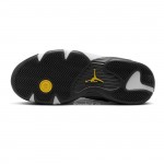 Air Jordan 14 Retro Laney 487471-407