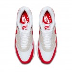 Nike Air Max 1 Anniversary Red 20172018 Restock Pair 908375-103