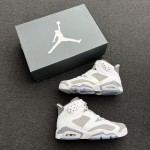 Air Jordan 6 Cool Grey CT8529-100