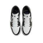 Air Jordan 1 Low SE Concord DV1309-100