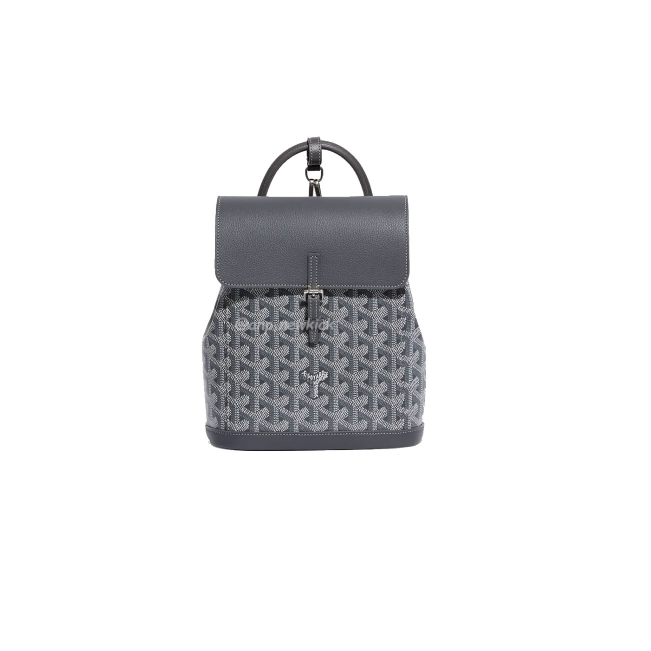 GOYARD Alpin Mini backpack